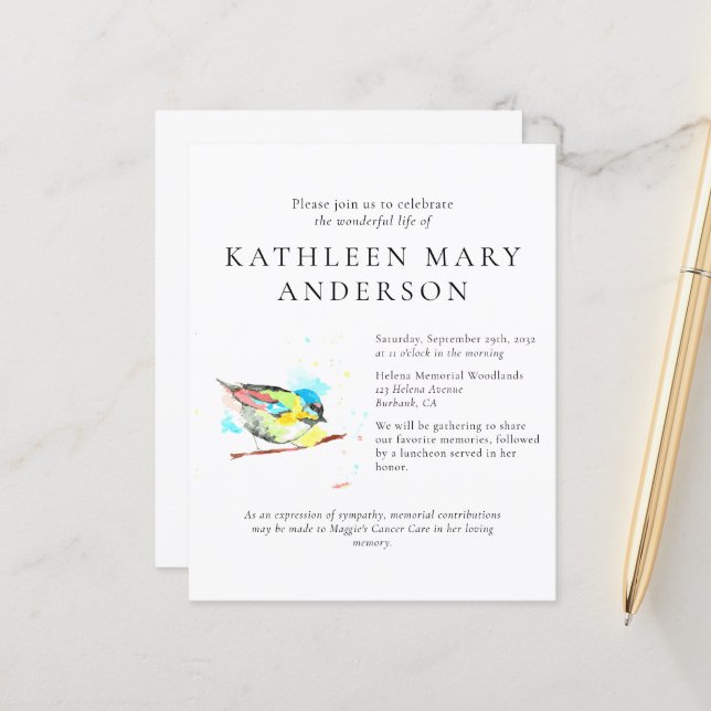 BUDGETEN Bird Firande of Life Investigation (Fram/Back In Situ)