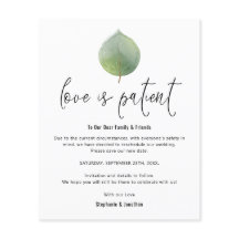 Budgeten Kärlek är patientens Spara nya eukalyptus