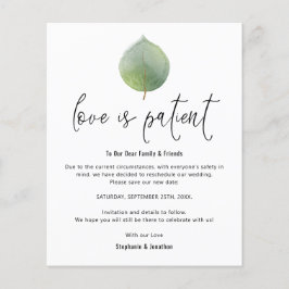 Budgeten Kärlek är patientens Spara nya eukalyptus