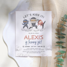 Budgeten Låt oss att man sparkar den i ninja Marti