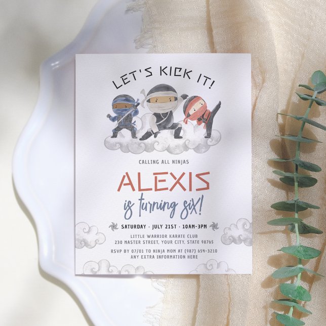 Budgeten Låt oss att man sparkar den i ninja Marti (Skapare uppladdad)