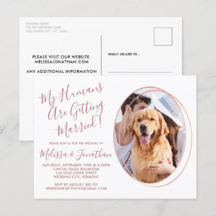 Budgeten Ro Guld Anpassningsbar Pet Photo Hund Brö Vykort