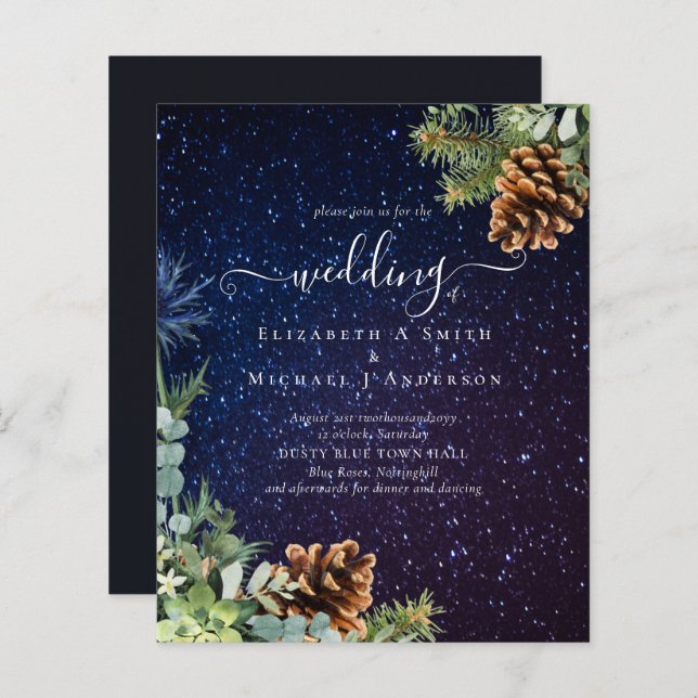 BUDGETENS BÖRJNINGSbudget för Winter-vinter (Fram/baksida)