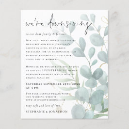 Budgetens eukalyptus, som minskar avyttringarna i 