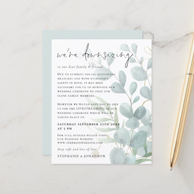 Budgetens eukalyptus, som minskar avyttringarna i  (Fram/Back In Situ)