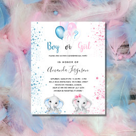 Budgetens gender avslöjar babyduschflicka