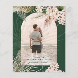 BUDGETENS Grönt Pampas Grass PHOTO TACK MATTE Flygblad