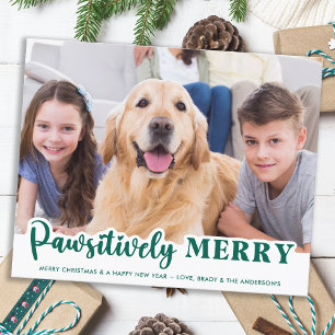 Budgetera Pet Photo Pawsitively Merry Hund Helgdag