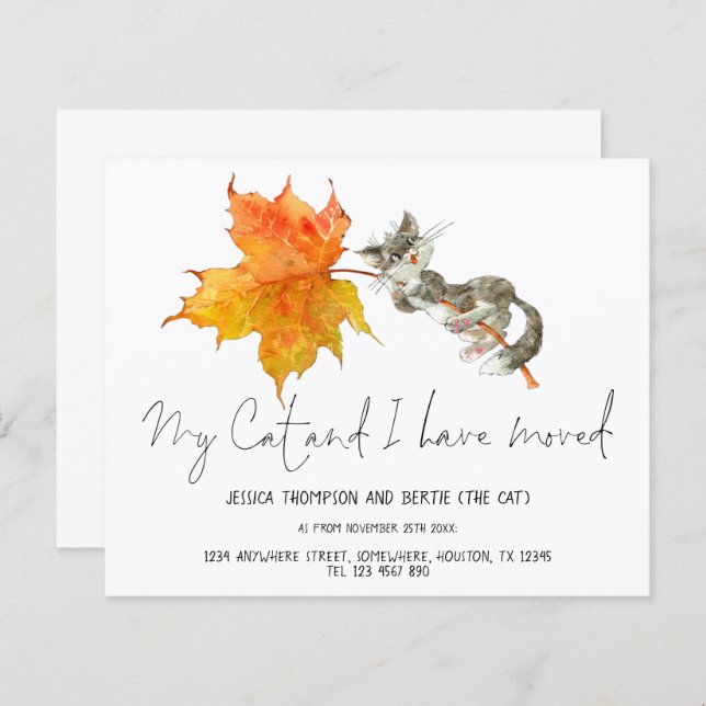 Budgetera Roligt Mitt katt Jag har Flyttat skripte (Fram/baksida)