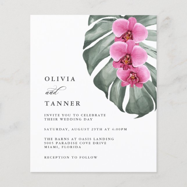 Budgetera Shock rosa på Monstera Tropical (Framsida)