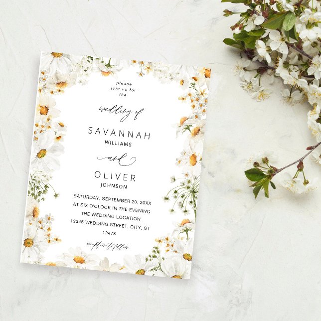 Budgeterad Daisy, vit Blommigt Flygblad (Skapare uppladdad)