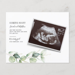 Budgeterad eukalyptus Gravid Baby Reveal Script
