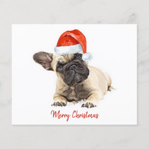 Budgeterad Fransk Bulldog Puppy Jul Cute Hund