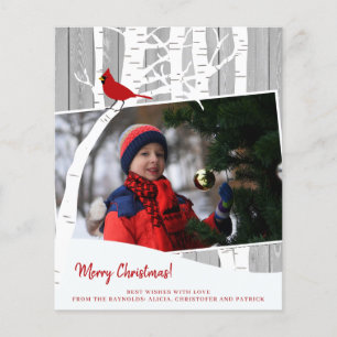 Budgeterad God jul-fotobild, helgdag Flygblad