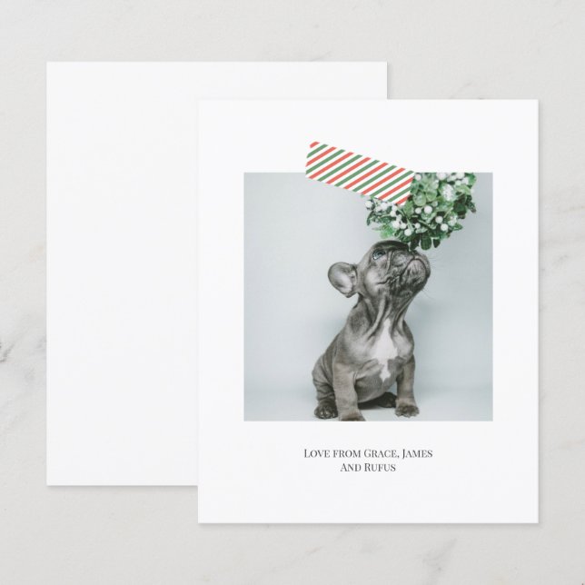 Budgeterad Roligt - strippat julfoto för band (Fram/baksida)