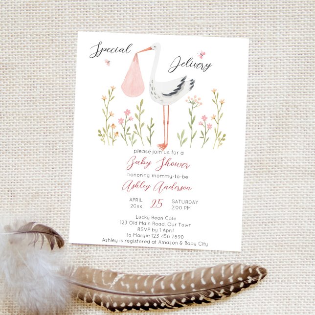 Budgeterad speciell leveranstork vår babydusch (Skapare uppladdad)