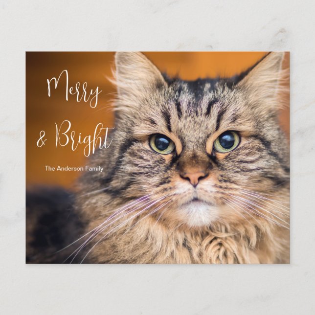 Budgeterat foto - kattMerry och Bright Helgdag Car (Framsida)