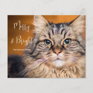 Budgeterat foto - kattMerry och Bright Helgdag Car