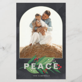 Budgeterat Holly Arch Peace Navy Photo Helgdag Car