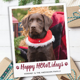 Budgeterat Hund älskare Pet-Helgdag för julfoto