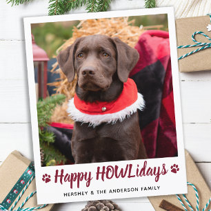 Budgeterat Hund älskare Pet-Helgdag för julfoto