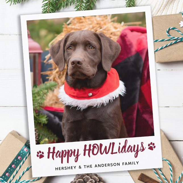 Budgeterat Hund älskare Pet-Helgdag för julfoto (Skapare uppladdad)