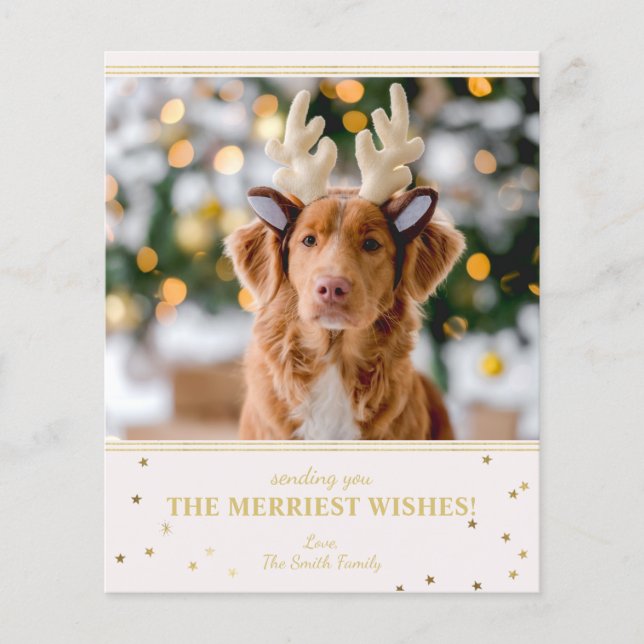 Budgeterat julfoto (Framsida)