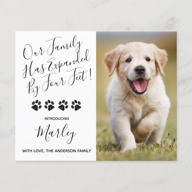 Budgeterat nytt paket utökat med fyra uppst. Hund (Framsida)
