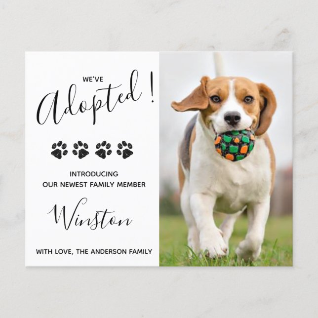 Budgeterat nytt paket Vi har antagit Hund Puppy (Framsida)