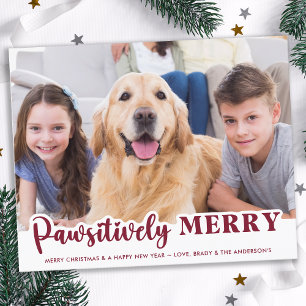 Budgeterat Pet Photo Pawsitively Merry Helgdag Car