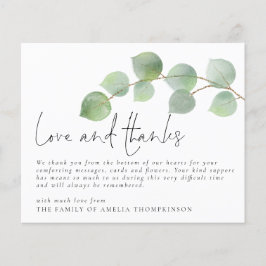 Budgeteucalyptus Begravning Sympati Kärlek och Tac