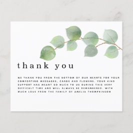 Budgeteukalyptus Begravning Sympati Tacksamhet