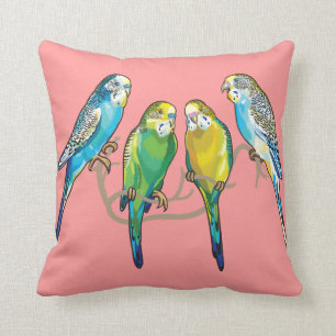 budgetgerigars kudde