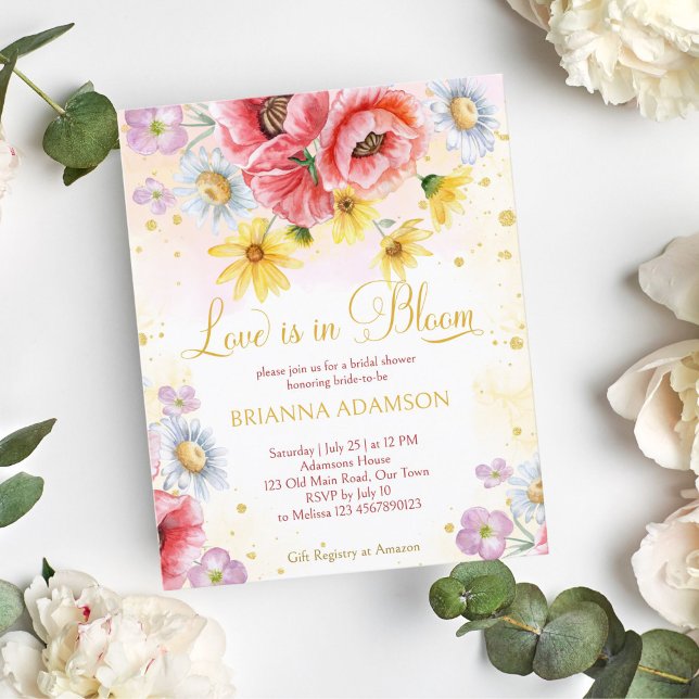 Budgetinbjudan för möhippa för diskettenhet för vi (Skapare uppladdad)