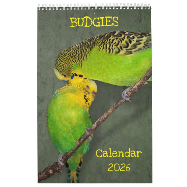 Budgetkalender Kalender (Omslag)