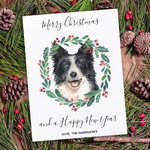 Budgetkort för Gräns Collie Hund God jul