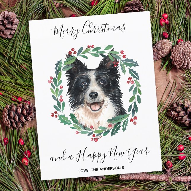 Budgetkort för Gräns Collie Hund God jul (Skapare uppladdad)