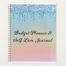 Budgetplan