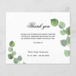 Budgetsympati eukalyptus greenery white