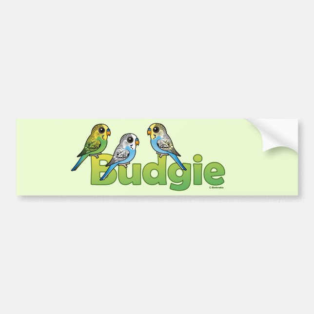 BUDGIE BILDEKAL (Framsidan)
