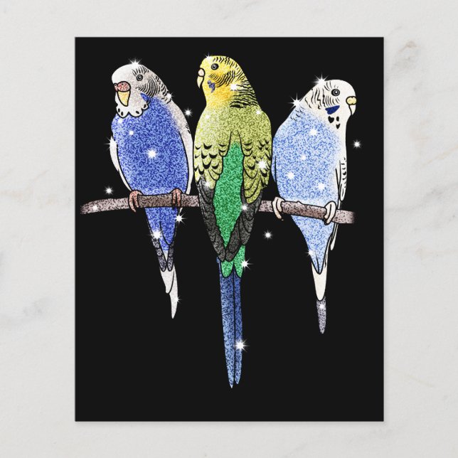 Budgie Budgerigar Glitter Flygblad (Framsidan)