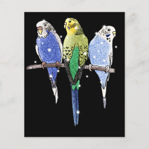 Budgie Budgerigar Glitter Flygblad
