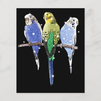 Budgie Budgerigar Glitter Flygblad
