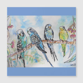 Budgie Budgies Watercolor Painting Bird Card