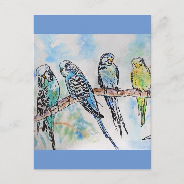 Budgie Budgies Watercolor Painting Bird Card Vykort (Framsida)