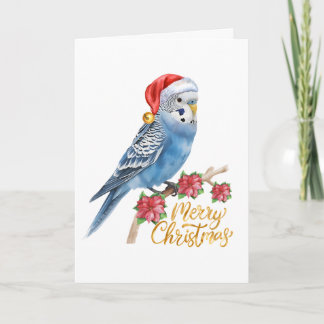 Budgie Christmas Card Helgkort