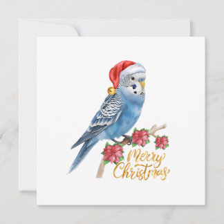 Budgie Christmas Card Julkort