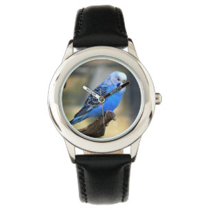 Budgie fågel armbandsur