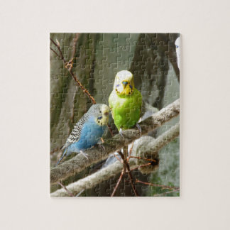 Budgie fågel pussel