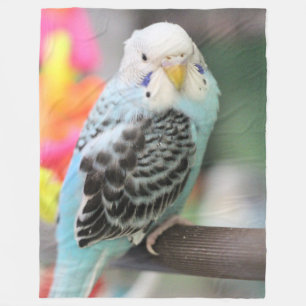 Budgie Fleecefilt